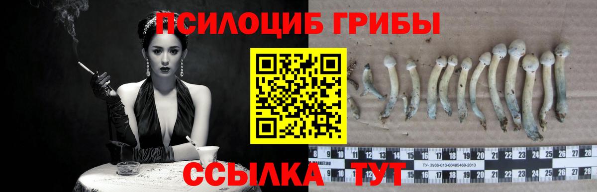 купить закладку  Вход с VPN  Псилоцибиновые грибы GOLDEN TEACHER  Шали  Галлюциногенные грибы MAGIC MUSHROOMS 